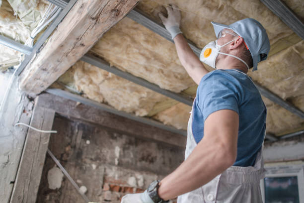 Best Insulation Contractors for Homes  in Kingsland, TX