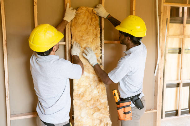 Best Insulation Inspection Services  in Kingsland, TX